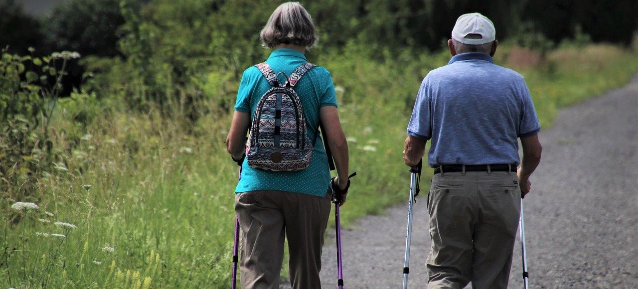 Dwóch seniorów odwróconych tyłem idących z kijkami asfaltową drogą pośród zieleni.