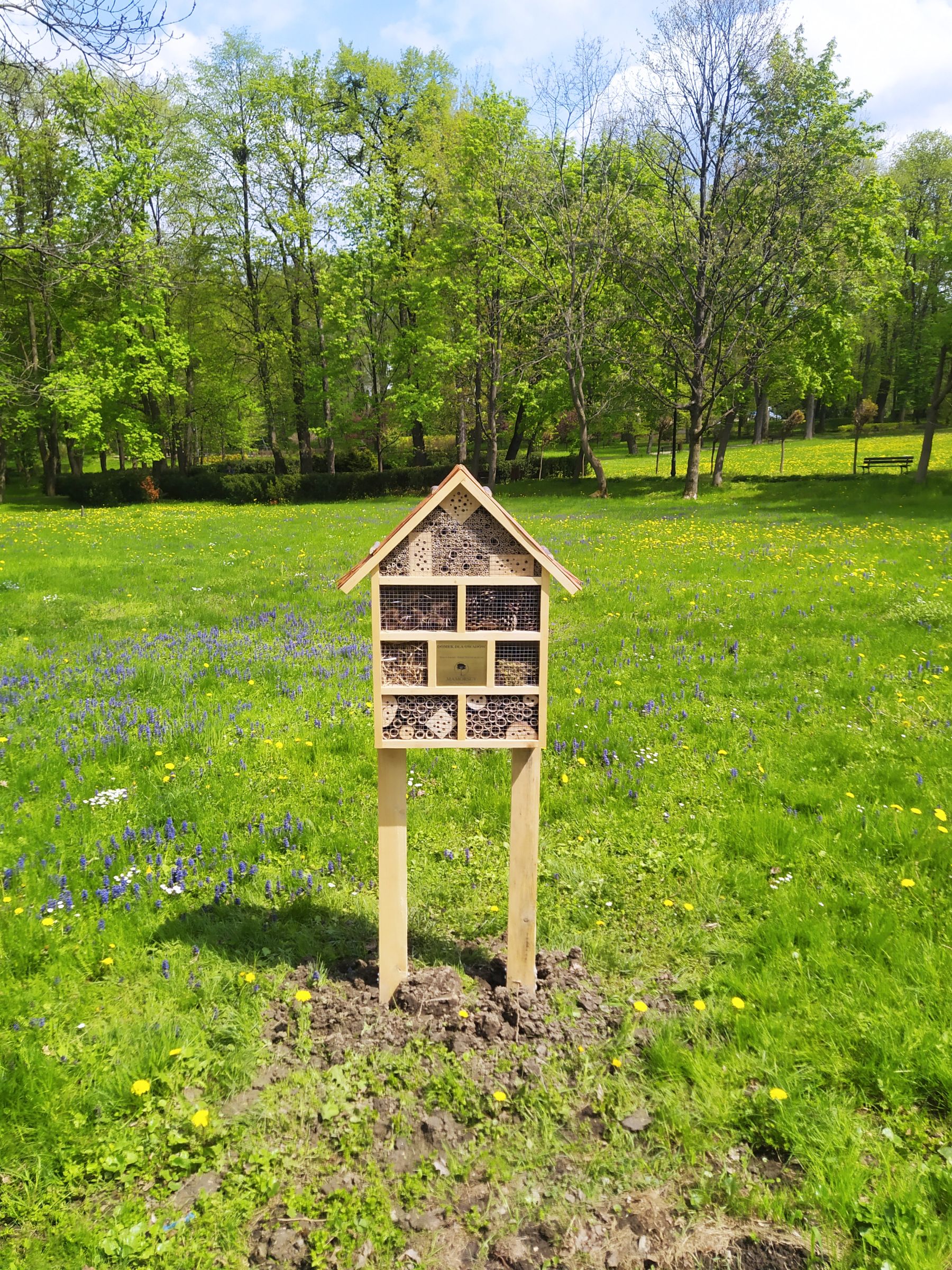 Drewniany domek dla owadów stojący na trawniku.