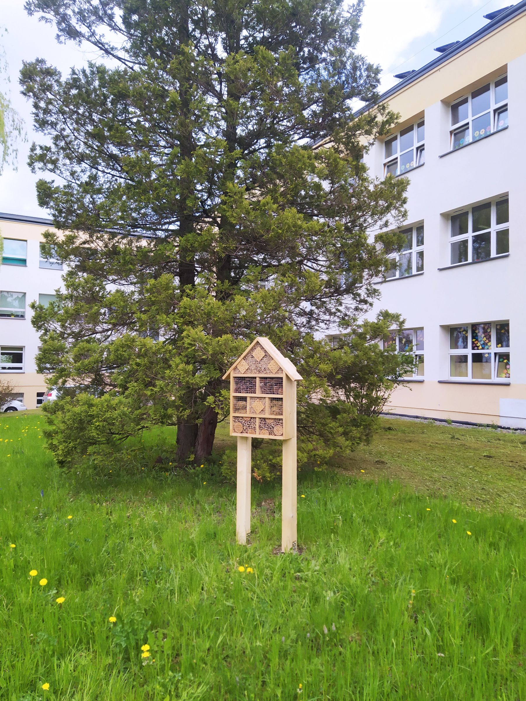 Drewniany domek dla owadów stojący na trawniku, przed dużym drzewem. Z tyłu budynek szkoły.