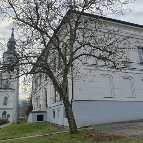 Obraz główny aktualności o tytule Jaworze daje pieniądze na zabytki 