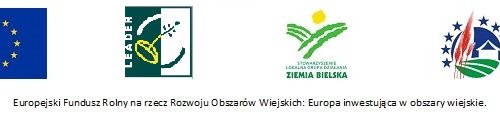 Obraz główny aktualności o tytule Spotkania dla organizacji pozarządowych LDG Ziemia Bielska 