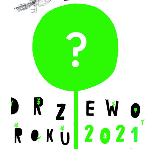 Obraz główny aktualności o tytule Ogólnopolski konkurs Drzewo Roku 2021 