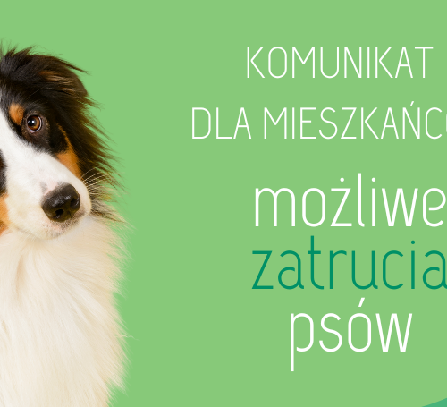 Obraz główny aktualności o tytule Komunikat: możliwe zatrucia psów 