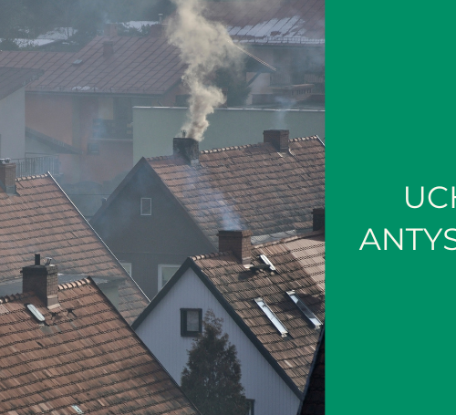 Obraz główny aktualności o tytule Uchwała antysmogowa w praktyce – czego nie wolno palić w piecach? 