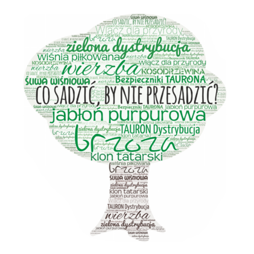 Obraz główny aktualności o tytule Poradnik na temat sadzenia drzew 