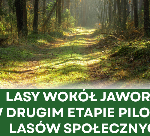 Obraz główny aktualności o tytule Lasy wokół Jaworza w drugim etapie pilotażu lasów społecznych 