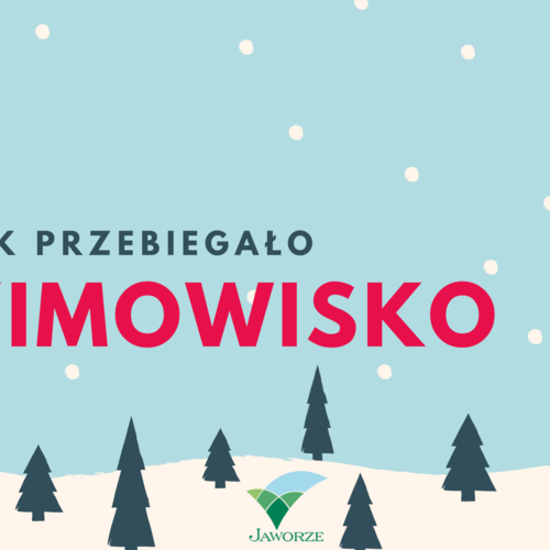 Obraz główny aktualności o tytule Zimowisko 2022 – podsumowanie 