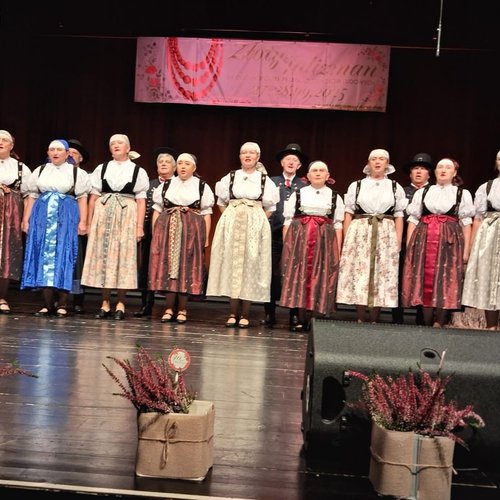 Obraz główny aktualności o tytule Zespół Regionalny "Jaworze" z kolejną nagrodą 