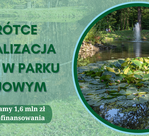Obraz główny aktualności o tytule W tym roku rusza rewitalizacja stawu w Parku Zdrojowym 