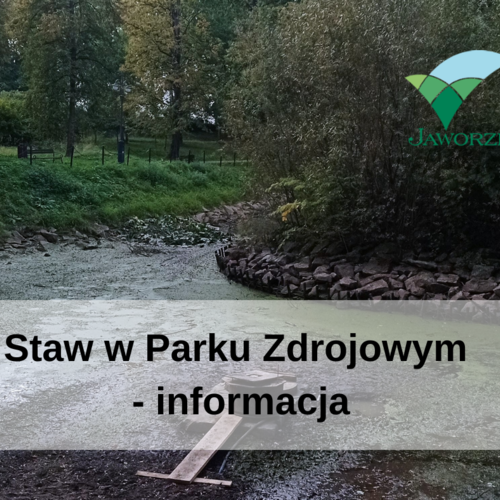 Obraz główny aktualności o tytule Staw w Parku Zdrojowym - informacja 