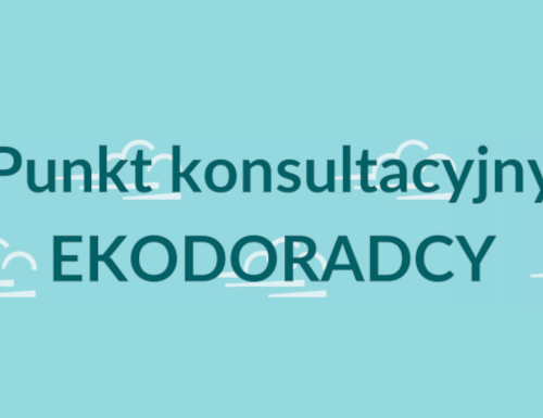 Obraz główny aktualności o tytule Ekodoradca w Jaworzu - dyżury w listopadzie i grudniu 2023 r. 