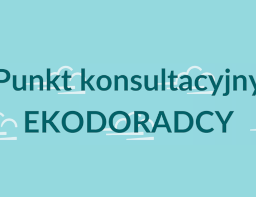 Obraz główny aktualności o tytule Porady ekodoradcy w Jaworzu – maj i czerwiec 2023 