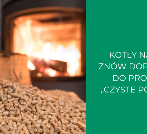 Obraz główny aktualności o tytule Kotły na pellet znów dopuszczone do programu 